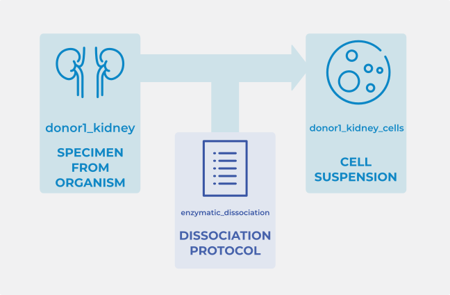 Protocol linking